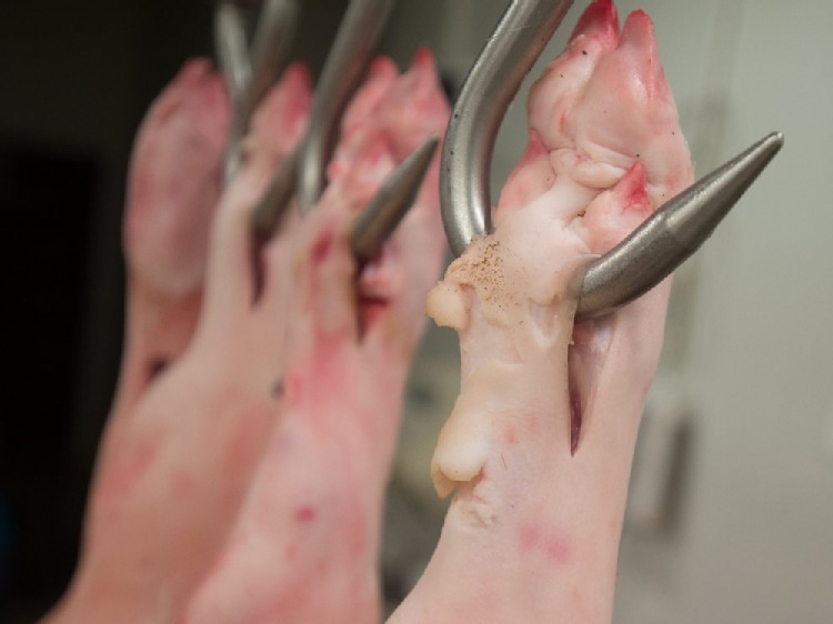 ARR: koniec przyjmowania wniosków o dopłaty do przechowywania wieprzowiny